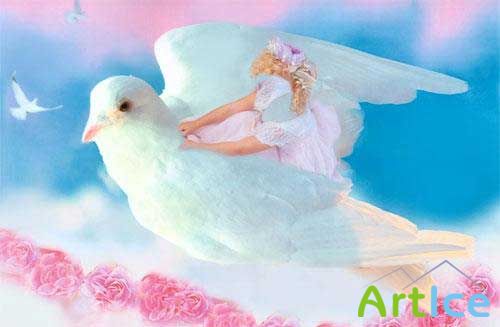 ������ ��� ����������� - On dove
